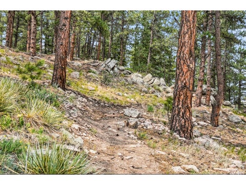 Tiny photo for 575 Reed Ranch Rd, Boulder, CO 80302 (MLS # 1063379)