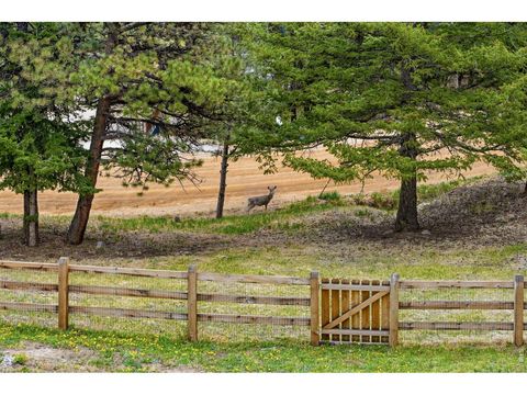 Tiny photo for 101 Canon View Rd, Boulder, CO 80302 (MLS # 1057612)