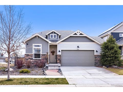 17558 E 103rd Dr Commerce City CO 80022