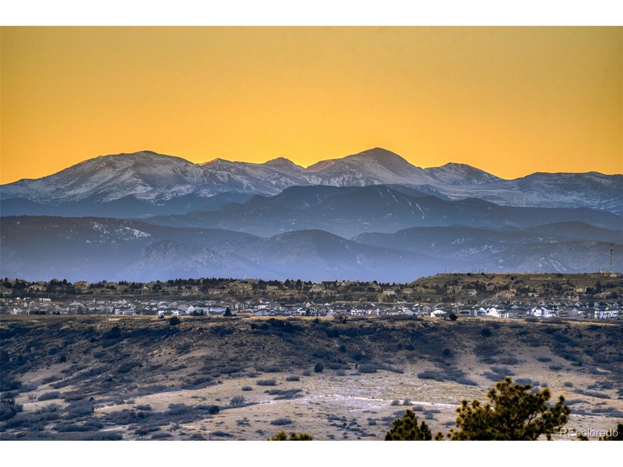 8377 Burning Tree Dr