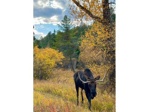 Tiny photo for 660 S Peak Rd, Boulder, CO 80302 (MLS # 1068021)