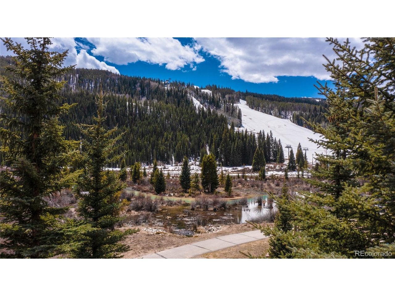 View From the Deck