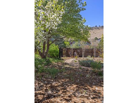 Tiny photo for 300 Oakwood Pl, Boulder, CO 80304 (MLS # 1056049)