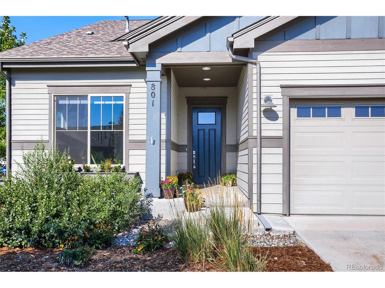 801 Widgeon Dr