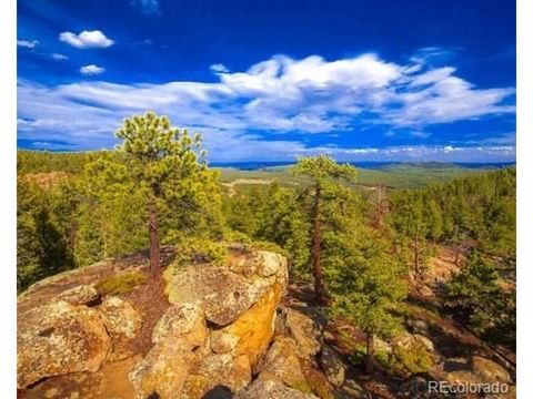 0 Tallberg Ln Conifer CO 80433