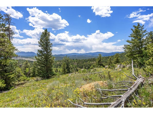1568 COUNTY ROAD 103, NEDERLAND, CO 80466 - Image 38ff8349e00a53a81beb323eda2292e9/644482538