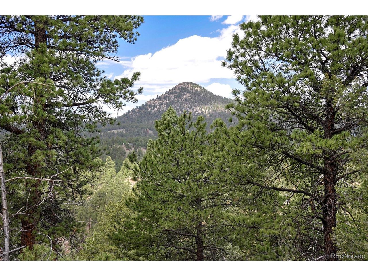 Photo 1 of 23 — 293 Badger Trl, Florissant, CO 80816