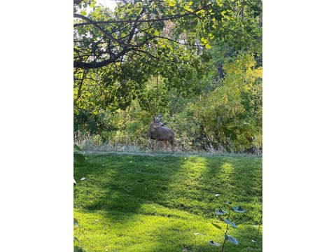 Tiny photo for 1259 Harrison Ct, Boulder, CO 80303 (MLS # 5553938)