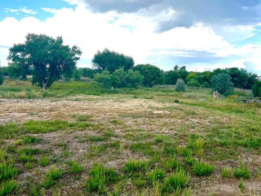 5101 PAWNEE DR, GREELEY, CO 80634 - Image 3e618a62f6b49b7c2faa48d3fce647cd/1124533346