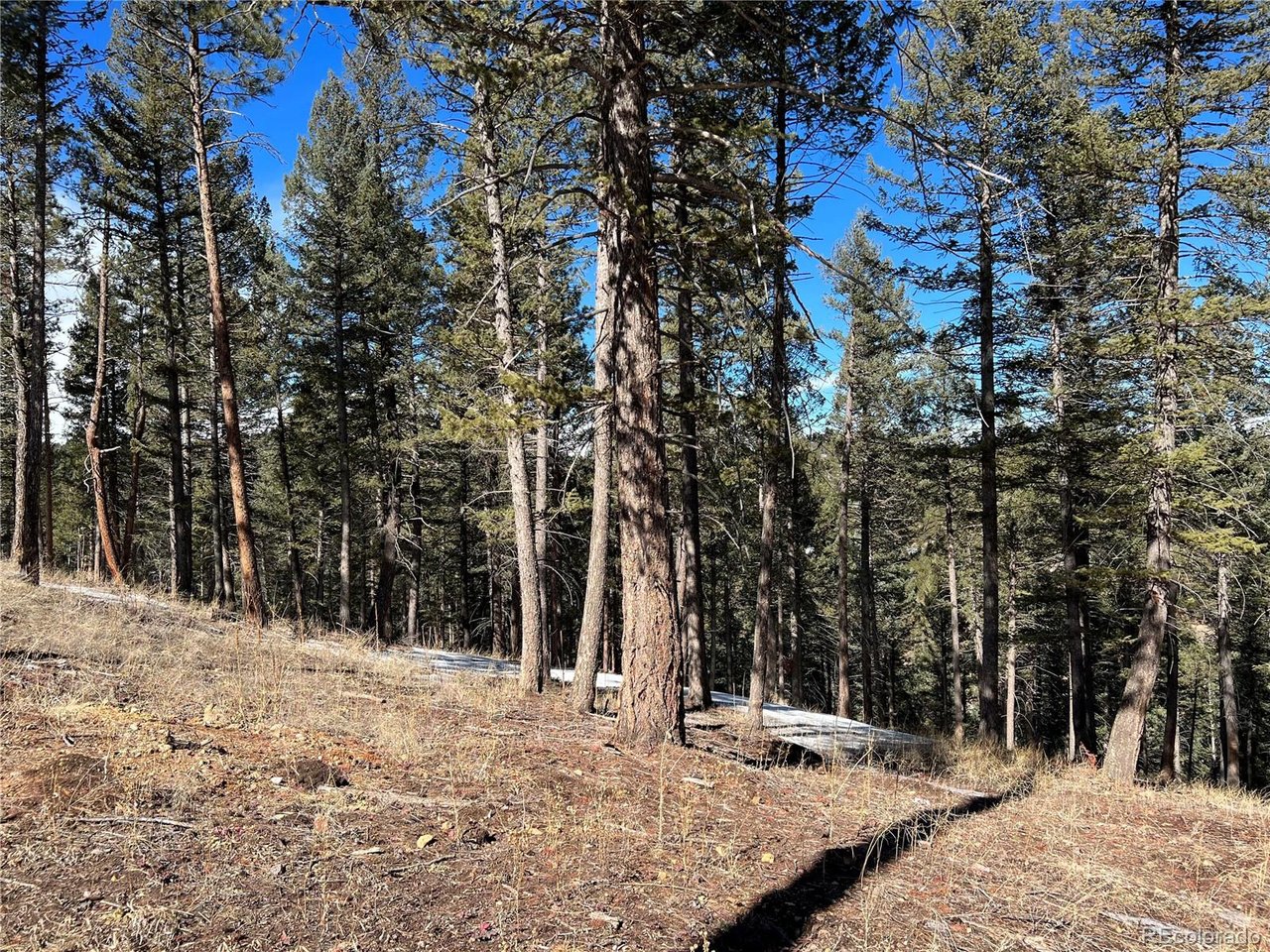 Photo 1 of 3 — 7871 Gold Rush, Morrison, CO 80465