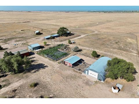 Tiny photo for 42667 County Road 51, Ault, CO 80610 (MLS # 1064189)