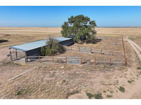 Tiny photo for 42667 County Road 51, Ault, CO 80610 (MLS # 1064189)