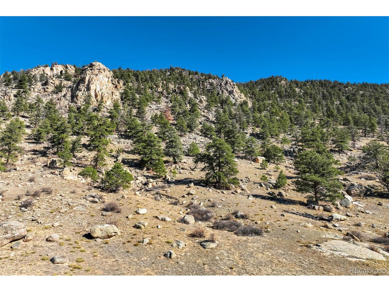 Photo 1 of 50 — 1354 Puma Hills Rd, Lake George, CO 80827