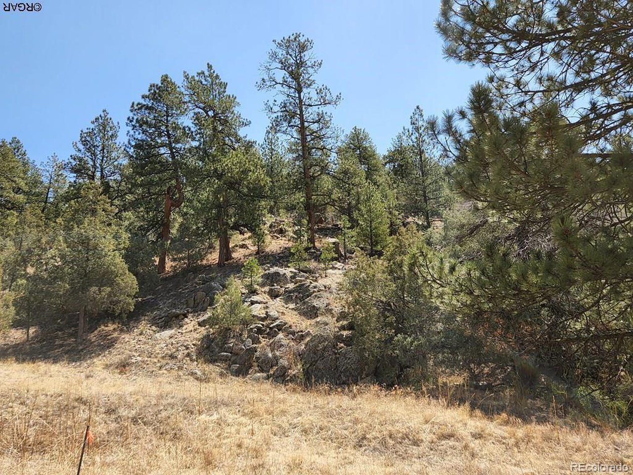 Photo 1 of 16 — 1314 Arnold Dr, Cotopaxi, CO 81223
