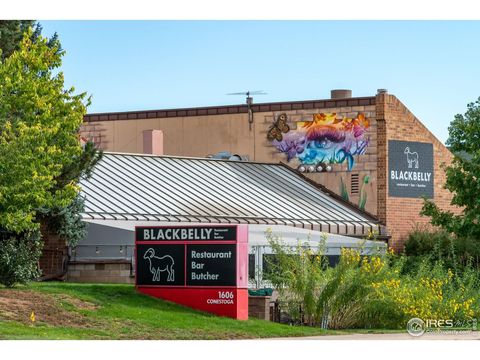 Tiny photo for 5411 White Pl, Boulder, CO 80303 (MLS # 1050501)