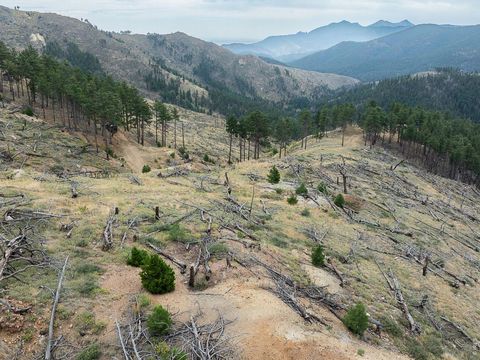 Tiny photo for 6319 Sunshine Canyon Dr, Boulder, CO 80302 (MLS # 1053077)