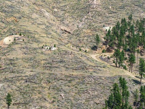 Tiny photo for 6319 Sunshine Canyon Dr, Boulder, CO 80302 (MLS # 1053077)