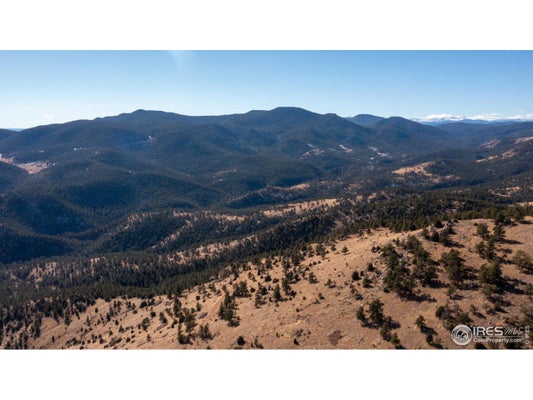 LOST TRL, CONIFER, CO 80433 - Image 65d268642d845fbaee8b2ee3287eec1f/3258472541