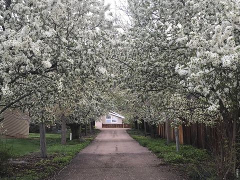 Tiny photo for 3421 4th St, Boulder, CO 80304 (MLS # 1053821)