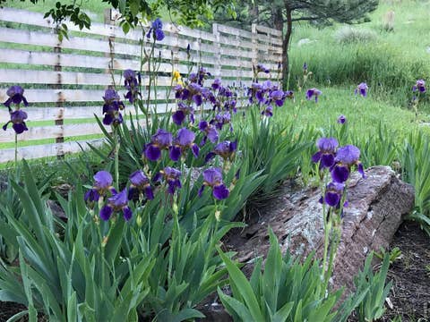 Tiny photo for 1254 Lee Hill Dr, Boulder, CO 80302 (MLS # 1063604)