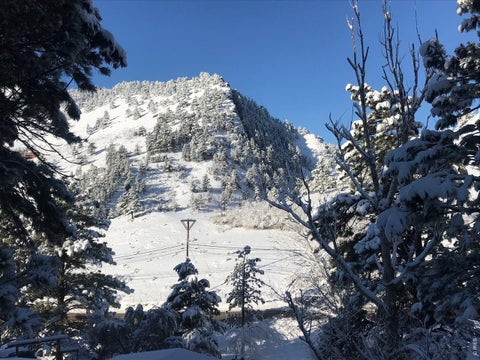 Tiny photo for 1254 Lee Hill Dr, Boulder, CO 80302 (MLS # 1063604)
