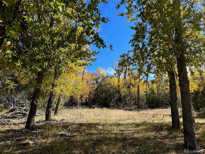 A spacious meadow perfect for building a home