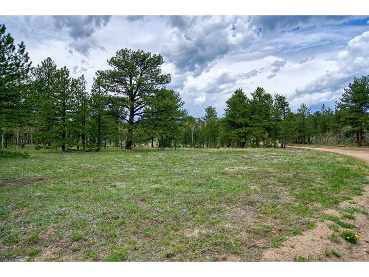 Photo 1 of 11 — 73 Sparn Way, Ward, CO 80481