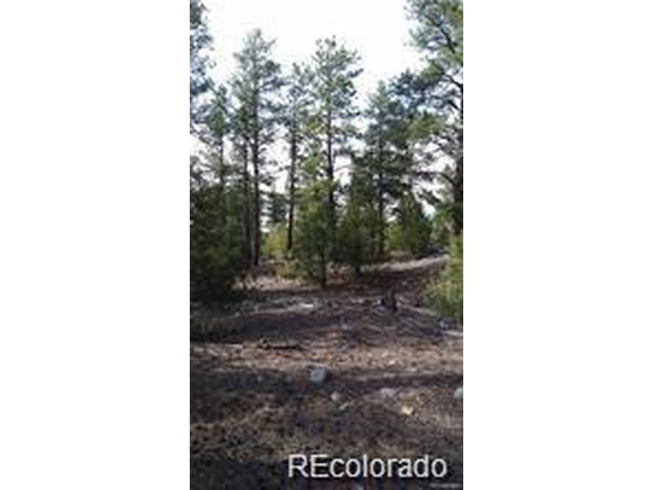 Photo 1 of 11 — 13 Costilla Pl, Alamosa, CO 81101