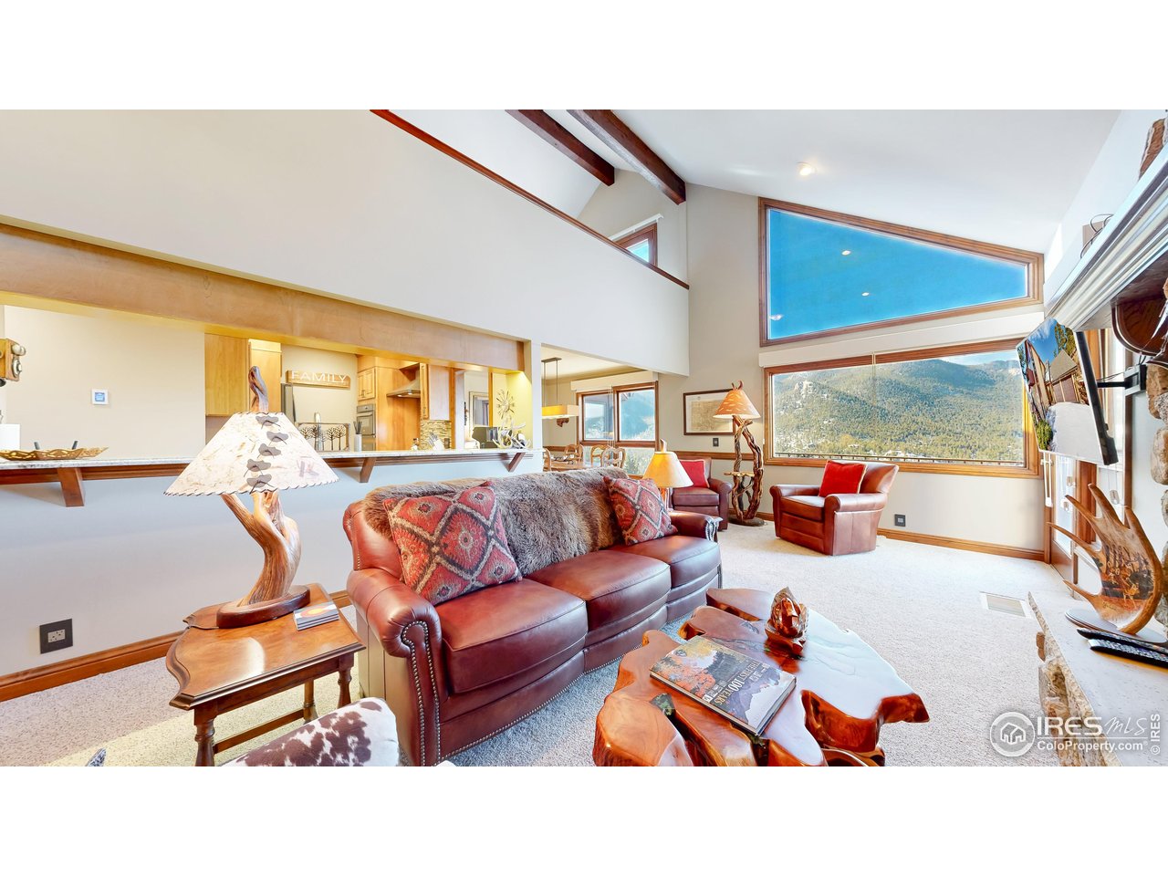 1421 St Moritz Trl 2