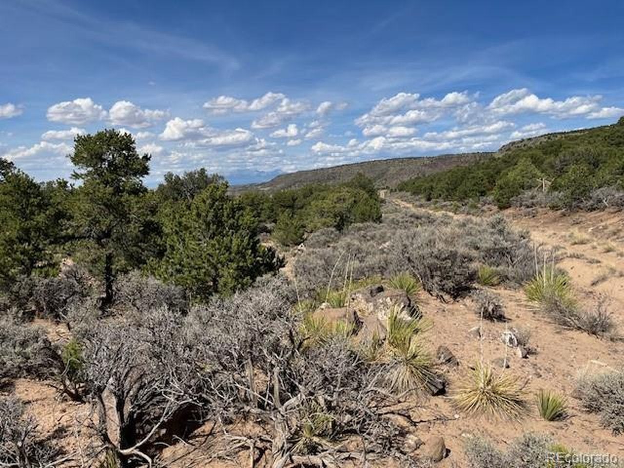 Flintlock Trail, Lot 110
