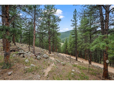 Tiny photo for 38411 Boulder Canyon Dr, Boulder, CO 80302 (MLS # 1068757)