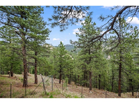 Tiny photo for 38411 Boulder Canyon Dr, Boulder, CO 80302 (MLS # 1068757)