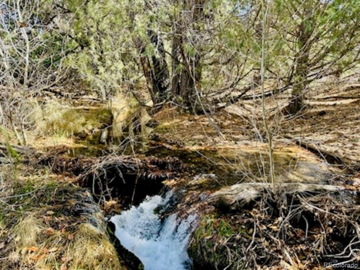 North Zapata creek winding through the north boundary line