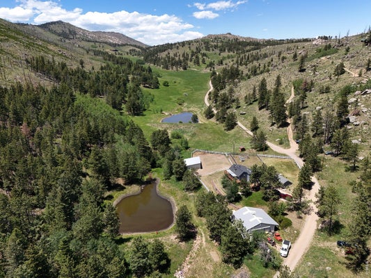 1154 SPRING VALLEY RD, BELLVUE, CO 80512 - Image 8b237ffa4fa5ec12b4a50fe5a0d7eb4f/3285535772