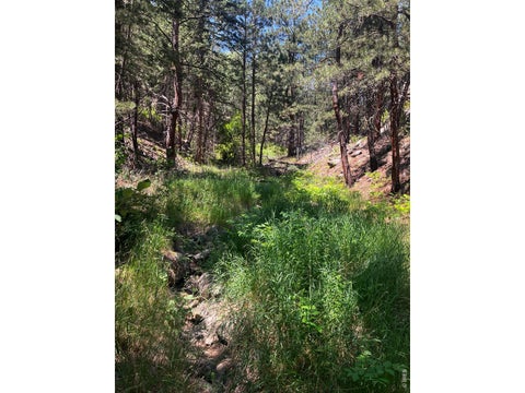 Tiny photo for 5550 Sunshine Canyon Dr, Boulder, CO 80302 (MLS # 1064605)