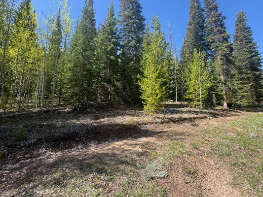 44 WILDERNESS RD, WALDEN, CO 80430 - Image 95d14f8f7a3fefeef8195b3cbeef752a/3977496282