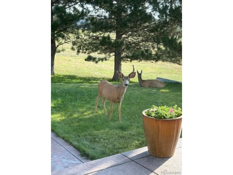 Tiny photo for 10464 E Pinewood Dr, Parker, CO 80138 (MLS # 8215498)