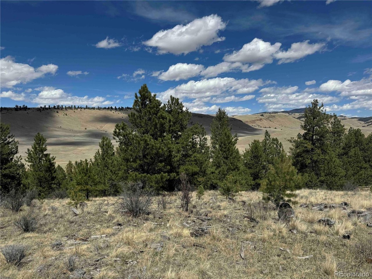 Photo 1 of 7 — 8014 County Road 2, Canon City, CO 81212