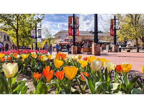 Tiny photo for 2125 11th St, Boulder, CO 80302 (MLS # 1056510)