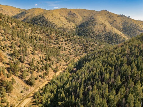 Tiny photo for 8200 Fourmile Canyon Dr, Boulder, CO 80302 (MLS # 1066676)