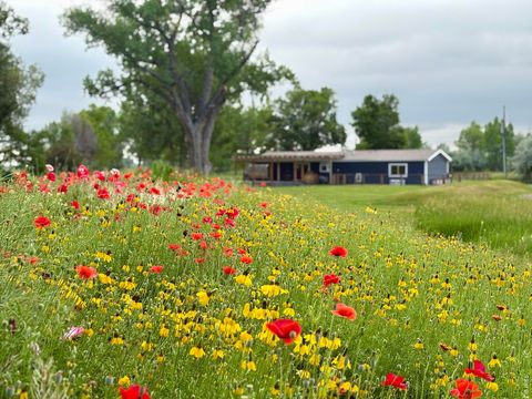 Tiny photo for 3705 N 75th St, Boulder, CO 80301 (MLS # 1059894)