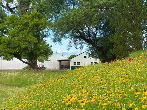 Tiny photo for 3705 N 75th St, Boulder, CO 80301 (MLS # 1059894)