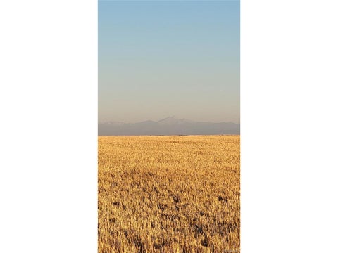 Tiny photo for 0 County Road 81, Roggen, CO 80652 (MLS # 4560493)