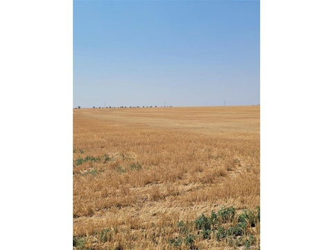 Tiny photo for 0 County Road 81, Roggen, CO 80652 (MLS # 4560493)