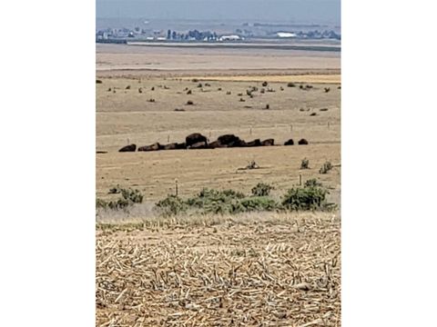 Tiny photo for 0 County Road 81, Roggen, CO 80652 (MLS # 4560493)
