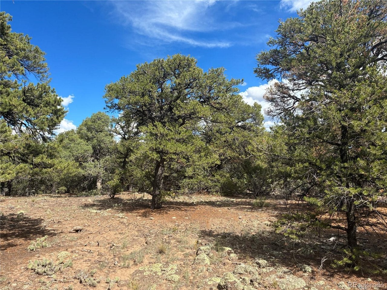 36 Bull Elk Trail Rd
