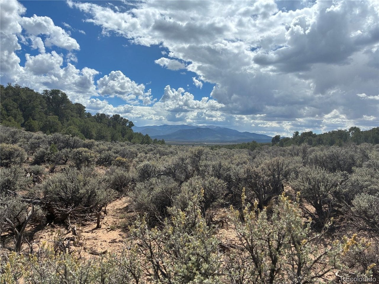 36 Bull Elk Trail Rd