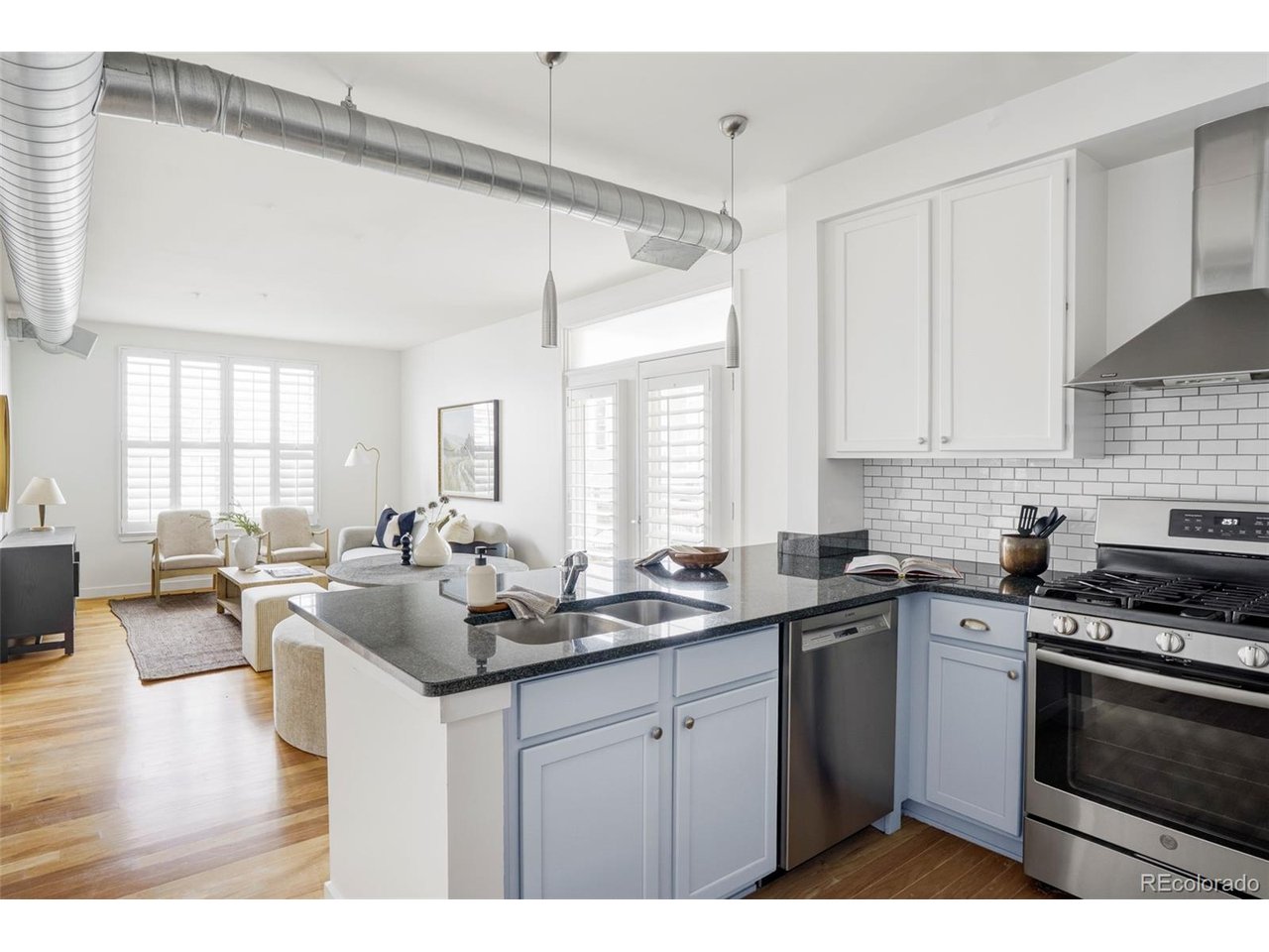 1313 S Clarkson St 208