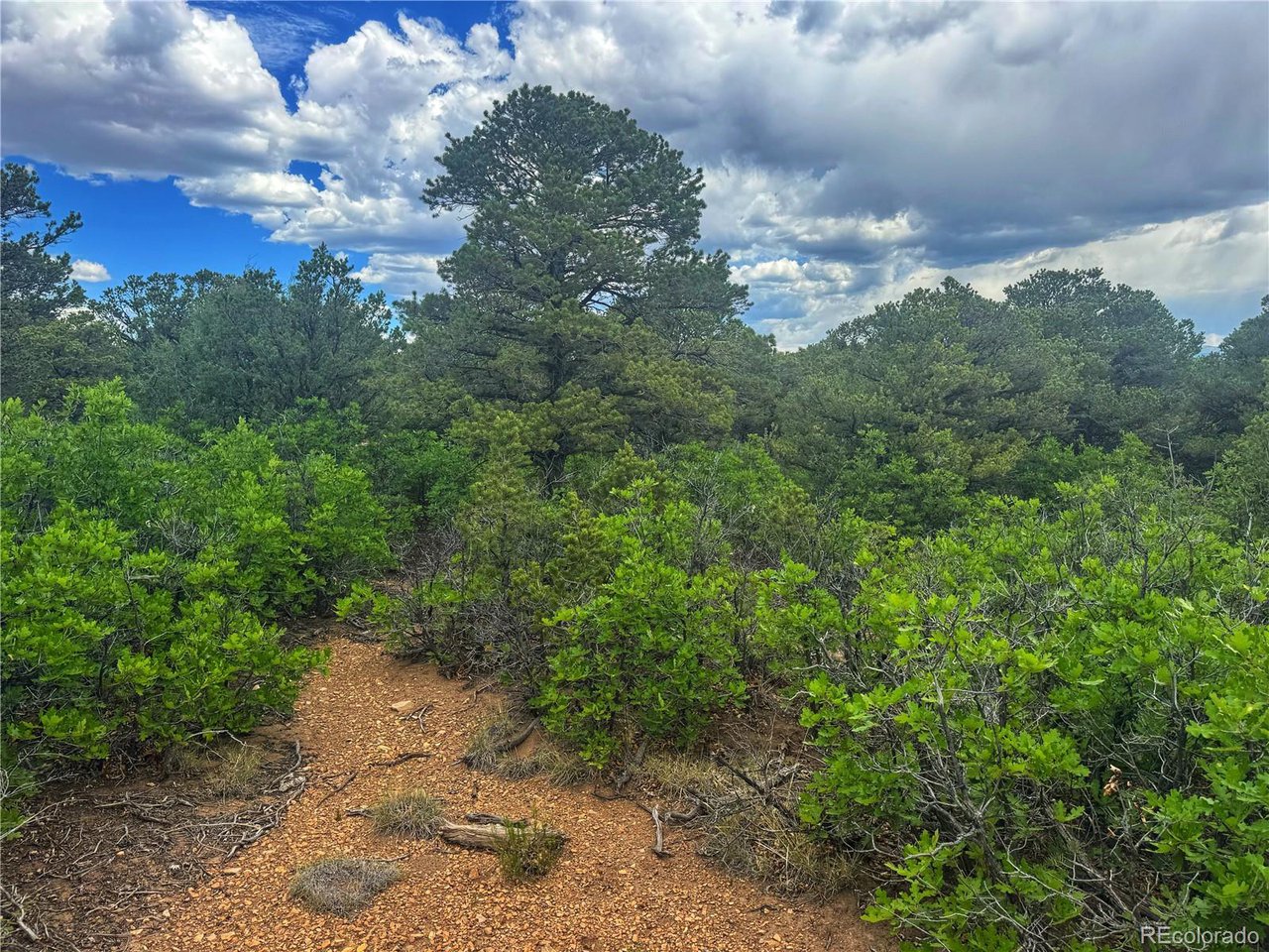 Photo 1 of 35 — 106 Colorado Land & Grazing, Walsenburg, CO 81089