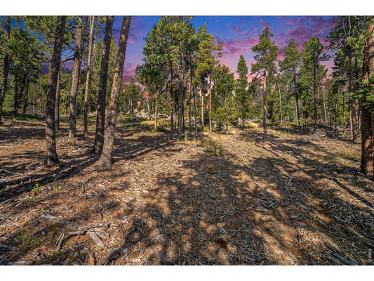 231 GRANITE DR, DRAKE, CO 80515 - Image bb0e7719d905799f34be95c0b806ca8a/1783671843
